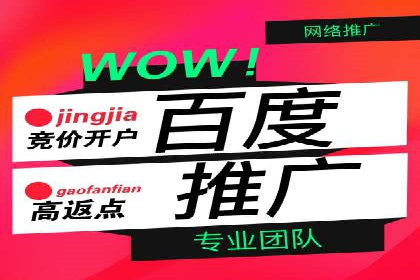 百度SEO推广公司成功案例：助力企业实现流量暴增